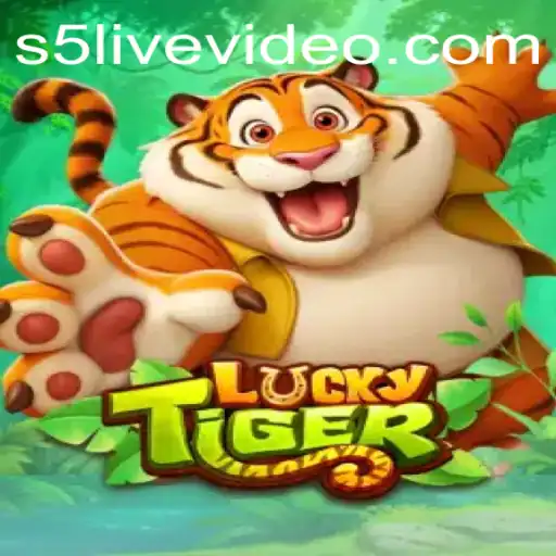 Exploring LuckyTiger: An Adventure in Luck and Strategy